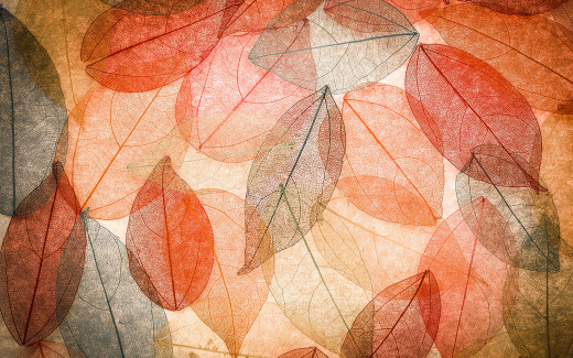 964585 (a): :2880x1800
